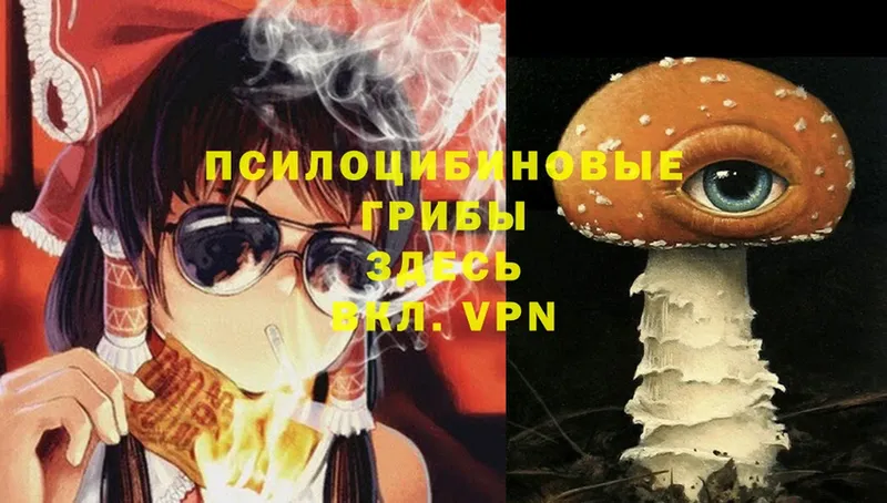 купить закладку  Невинномысск  Галлюциногенные грибы MAGIC MUSHROOMS 